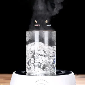 Glass Food Storage Jars with Airtight Bamboo Lid Food Container for Coffee Beans Tea Leaves Cookies Nuts Cereal Storage Canister