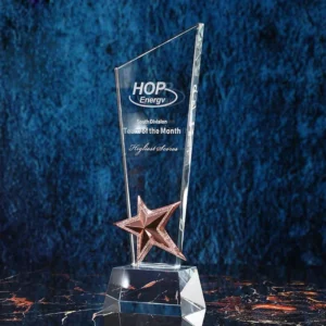 Customized Transparent Crystal Trophy, Gold Silver Copper, Five-Star, Excellent Staff Award, Home Decoration, 1Pc