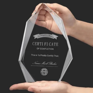 K9 Crystal Iceberg Shaped Glass Trophy for Awards and Brand Recognition Business Gifts