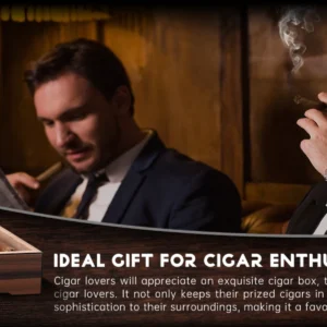 Cigar Humidor Box Cigar Case with Humidifier and Hygrometer, Cedar Wood Cigar Box with Divider, Cigar Gifts Accessories for Men