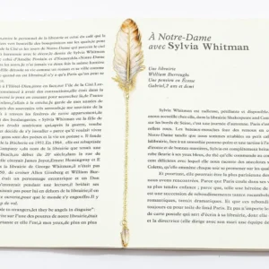 Exquisite Metal Metal Bookmark Feather Shape With Feather Pendant Reading Book Clip Pagination Mark Book Lovers Writers Readers